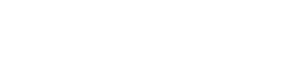 Logo The Play